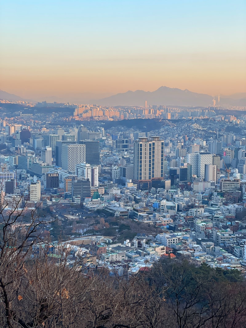 관광객 결제 사례